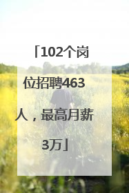 102个岗位招聘463人，最高月薪3万