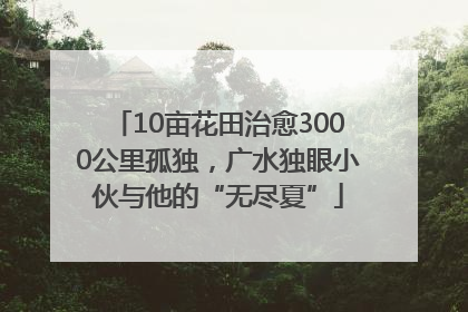 10亩花田治愈3000公里孤独，广水独眼小伙与他的“无尽夏”