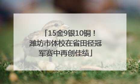15金9银10铜！潍坊市体校在省田径冠军赛中再创佳绩