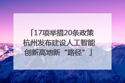 17项举措20条政策 杭州发布建设人工智能创新高地新“路径”