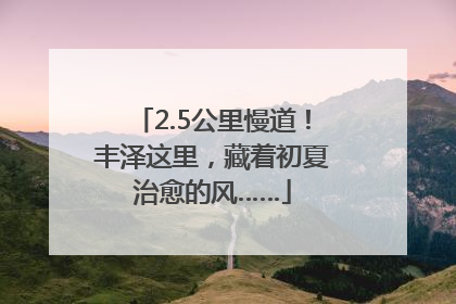 2.5公里慢道！丰泽这里，藏着初夏治愈的风……