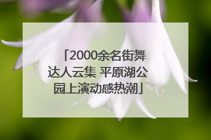 2000余名街舞达人云集 平原湖公园上演动感热潮