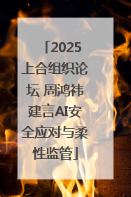 2025上合组织论坛 周鸿祎建言AI安全应对与柔性监管