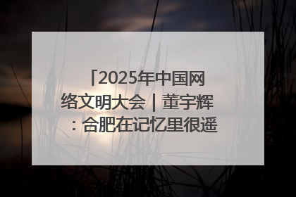 2025年中国网络文明大会｜董宇辉：合肥在记忆里很遥远也很亲切