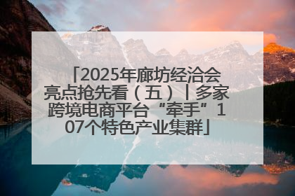 2025年廊坊经洽会亮点抢先看（五）丨多家跨境电商平台“牵手”107个特色产业集群