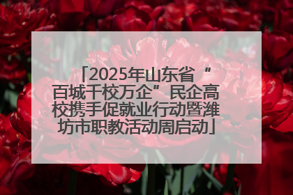 2025年山东省“百城千校万企”民企高校携手促就业行动暨潍坊市职教活动周启动