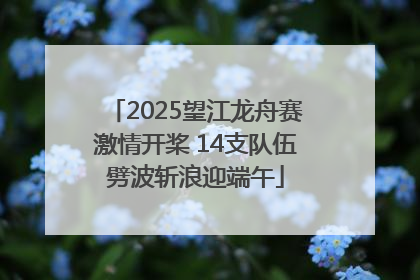 2025望江龙舟赛激情开桨 14支队伍劈波斩浪迎端午