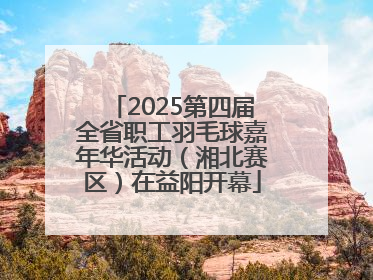 2025第四届全省职工羽毛球嘉年华活动（湘北赛区）在益阳开幕