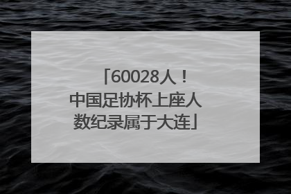 60028人！中国足协杯上座人数纪录属于大连
