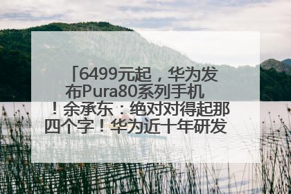 6499元起，华为发布Pura80系列手机！余承东：绝对对得起那四个字！华为近十年研发投入12490亿元
