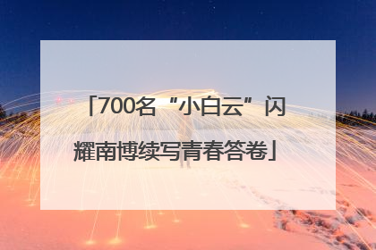 700名“小白云”闪耀南博续写青春答卷