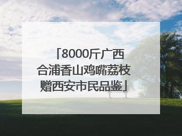 8000斤广西合浦香山鸡嘴荔枝赠西安市民品鉴
