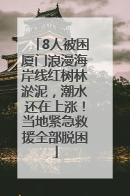 8人被困厦门浪漫海岸线红树林淤泥，潮水还在上涨！当地紧急救援全部脱困