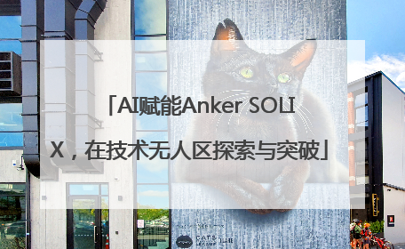 AI赋能Anker SOLIX，在技术无人区探索与突破
