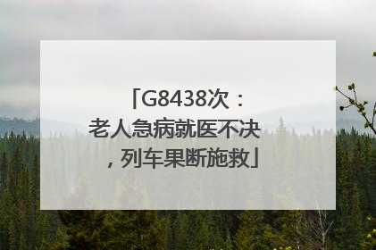 G8438次：老人急病就医不决，列车果断施救